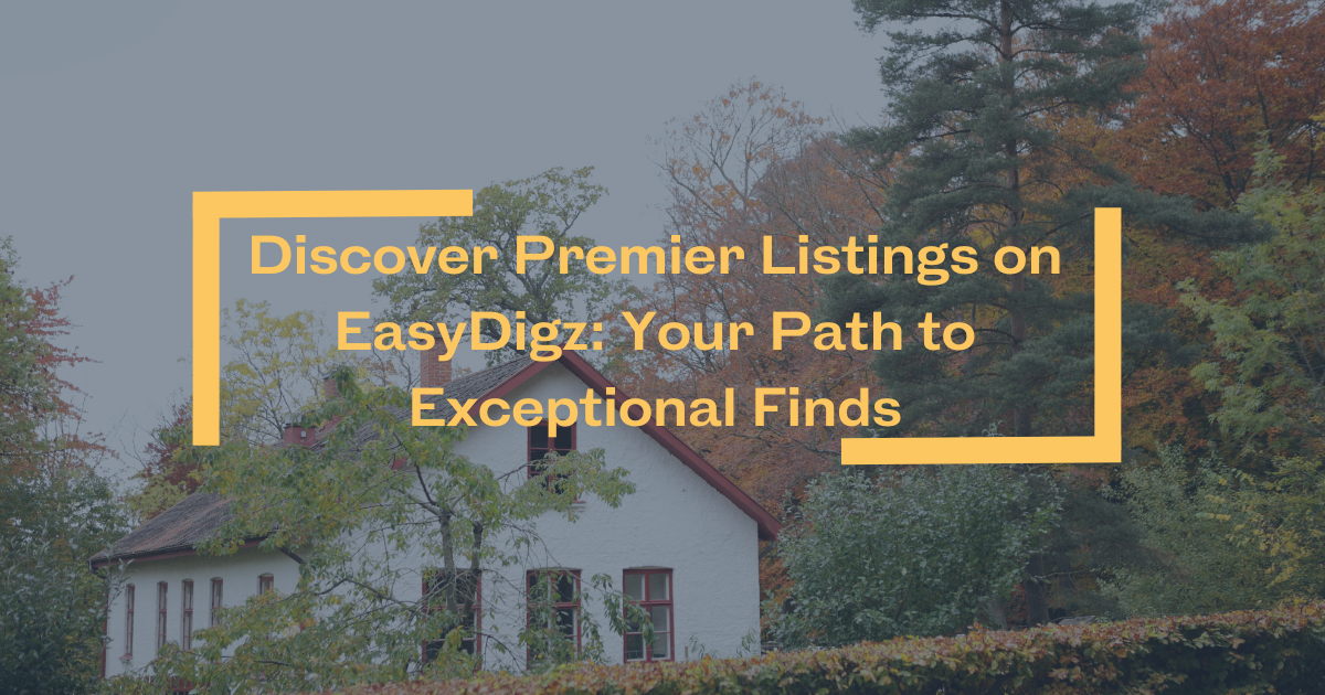 Discover Premier Listings on EasyDigz: Your Path to Exceptional Finds